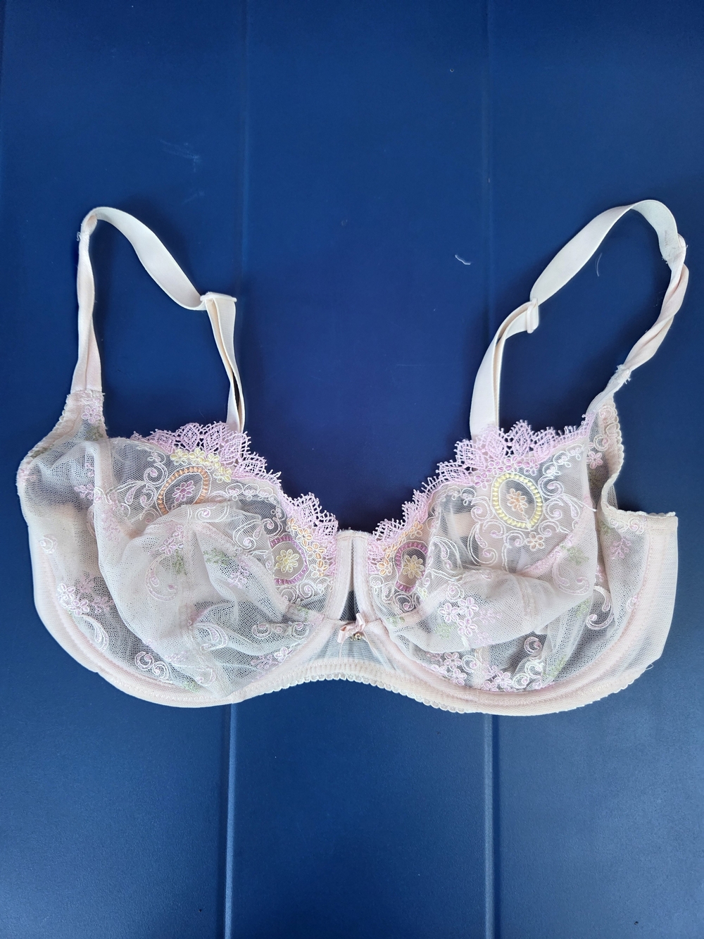 Lise Charmel Sheer Embroidered Underwire Bra in Pale Pink